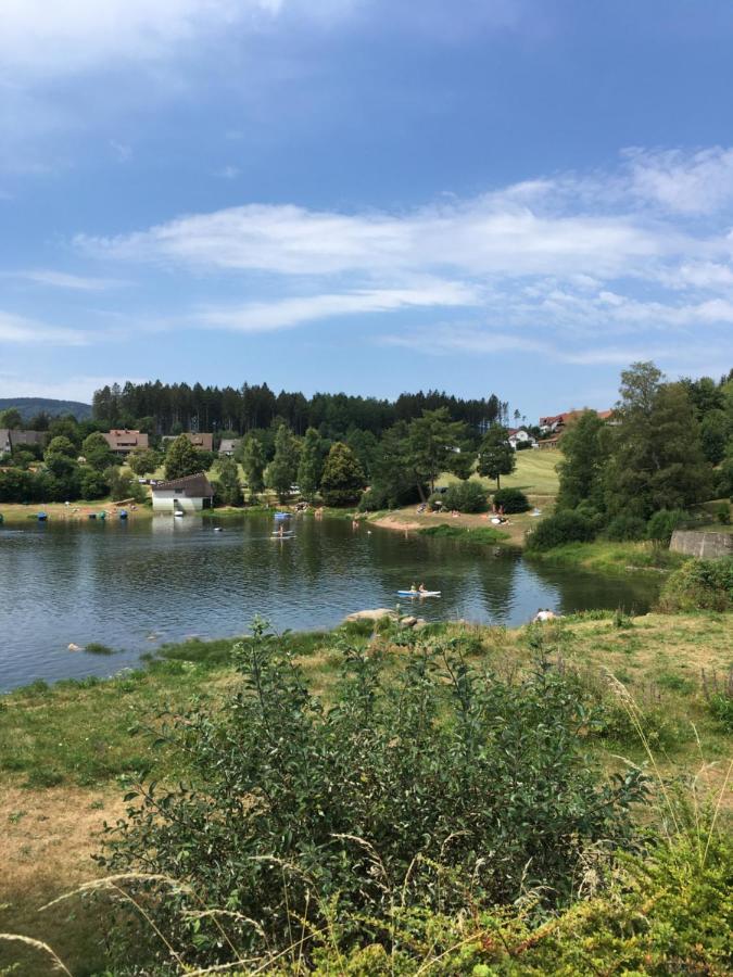 Zu Hause Am See - Pool, Sauna, Fitnessraum Schluchsee Eksteriør bilde