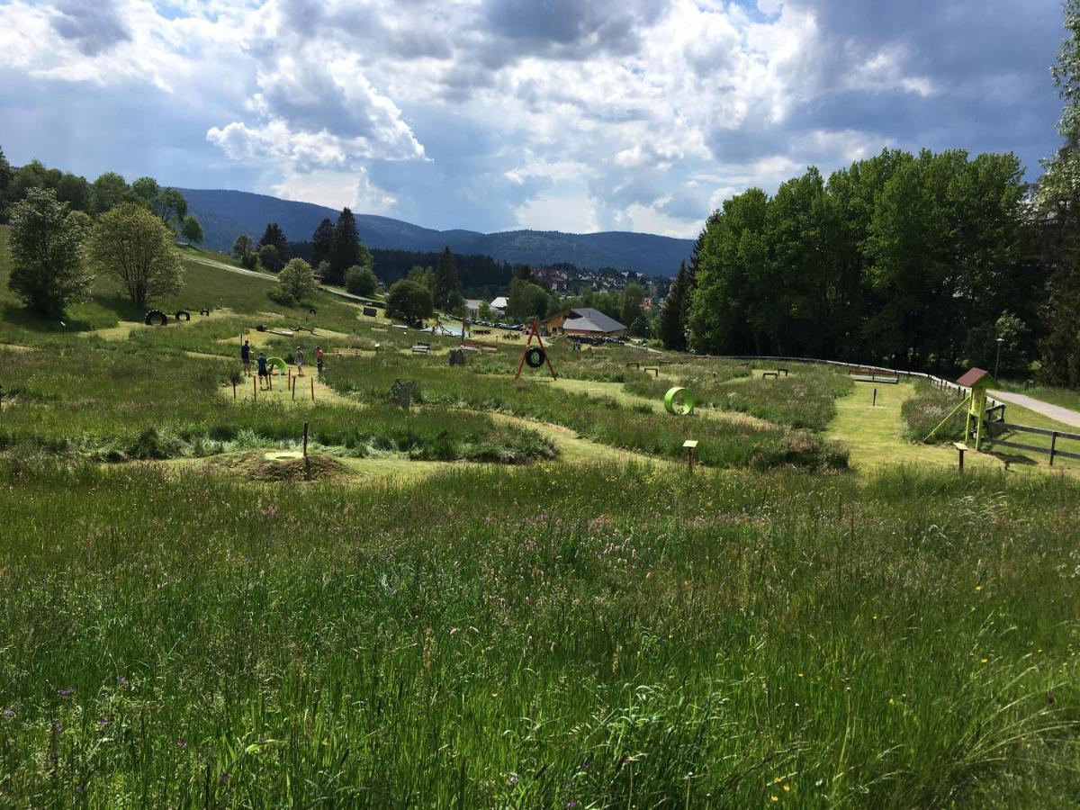 Zu Hause Am See - Pool, Sauna, Fitnessraum Schluchsee Eksteriør bilde